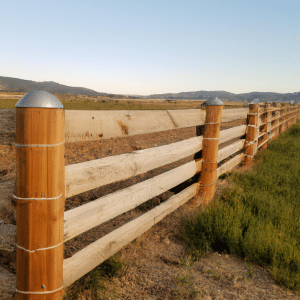 Read more about the article Eco-Friendly Fencing Options for the Environmentally Conscious Homeowner