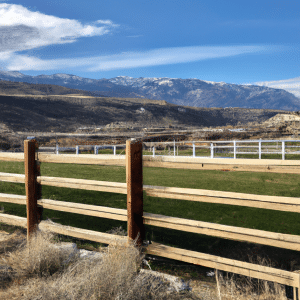 Read more about the article Fencing Maintenance Calendar: A Seasonal Guide to Preserving Your Investment