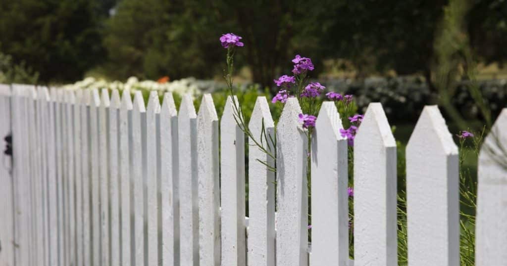 Read more about the article The Pros and Cons of Chain Link Fencing for Your Property