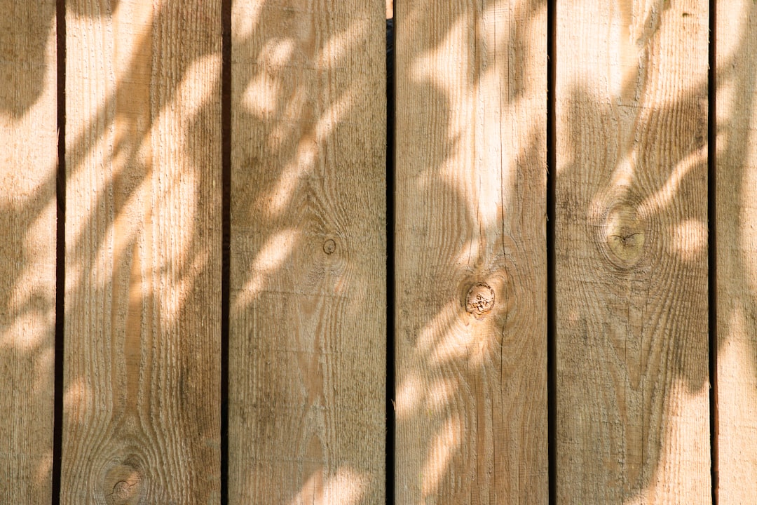 You are currently viewing Privacy Fences: Combining Security with Style